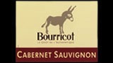 Cabernet Sauvignon - カベルネ・ソーヴィニヨン