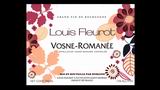 Vosne-Romanée - ヴォーヌ・ロマネ