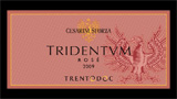 Tridentvm Brut Rosé Millesimato - トリデントゥム ブリュット ロゼ ミレジマート