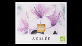 Azalée - アザレ