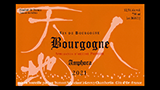 Bourgogne Blanc Amphora - ブルゴーニュ ブラン アンフォラ