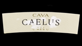 Caelus Blanc de Noirs Gran Reserva - カエルス ブラン・ド・ノワール グラン・レセルバ